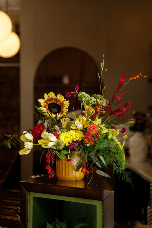 Bed-Stuy Collection: The Halsey , Summer/Fall Edit