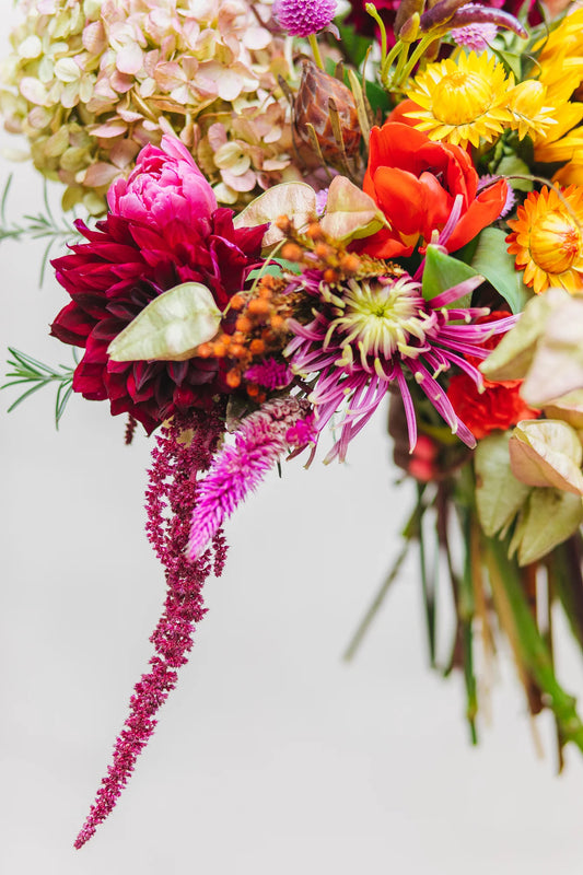 Lush N' Large, Designer's Choice