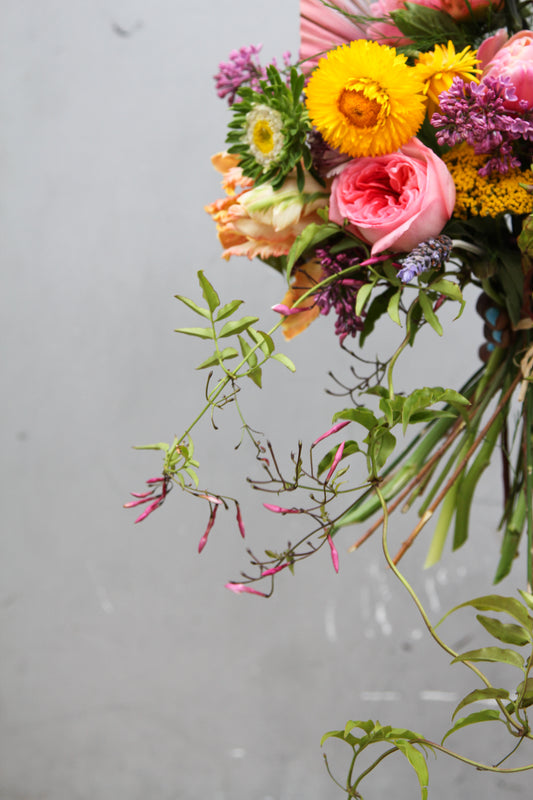 Medium Mix, Sherbet Pallet