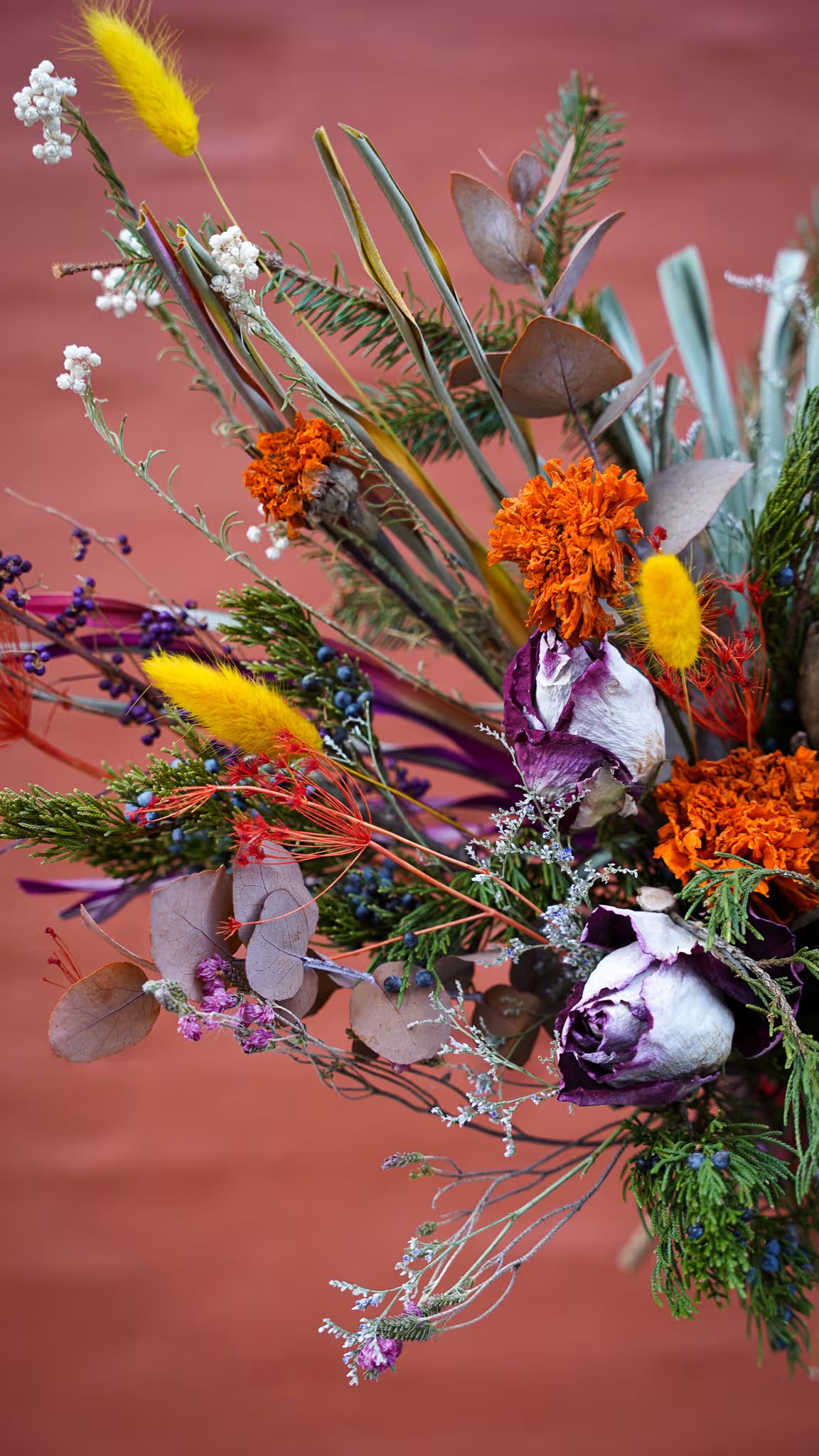 Sweet N' Petite - Dried Edition